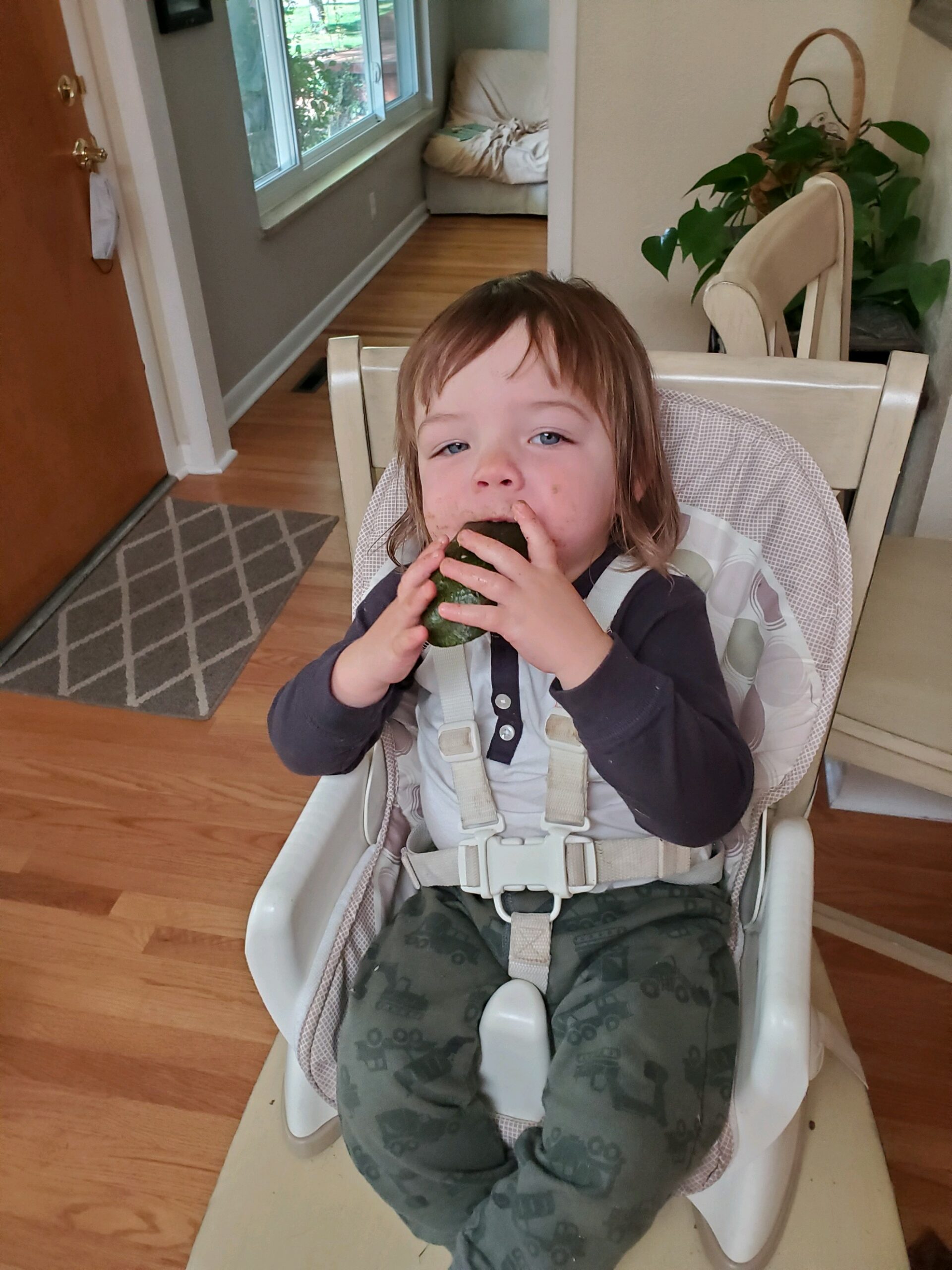 Feeding, An Act of Love