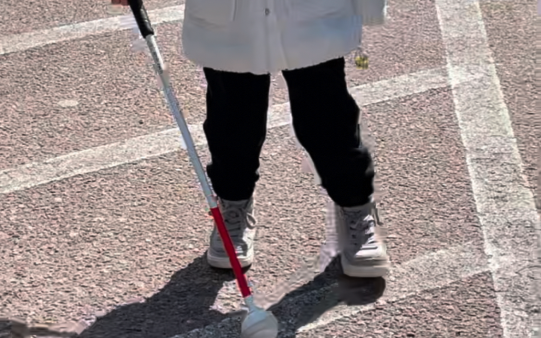 Celebrating Independence and Awareness: National White Cane Day
