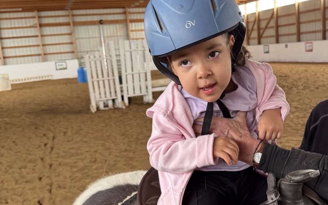 Hippotherapy vs. Equine Therapy: What’s the Difference