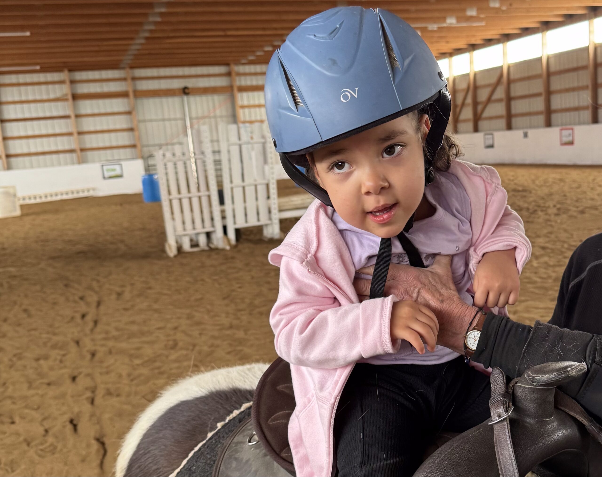 Hippotherapy vs. Equine Therapy: What’s the Difference