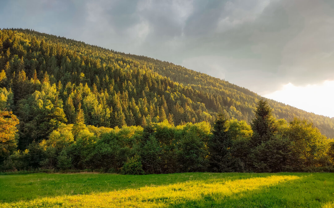 Nature for Every Body: Accessible Hiking in Colorado