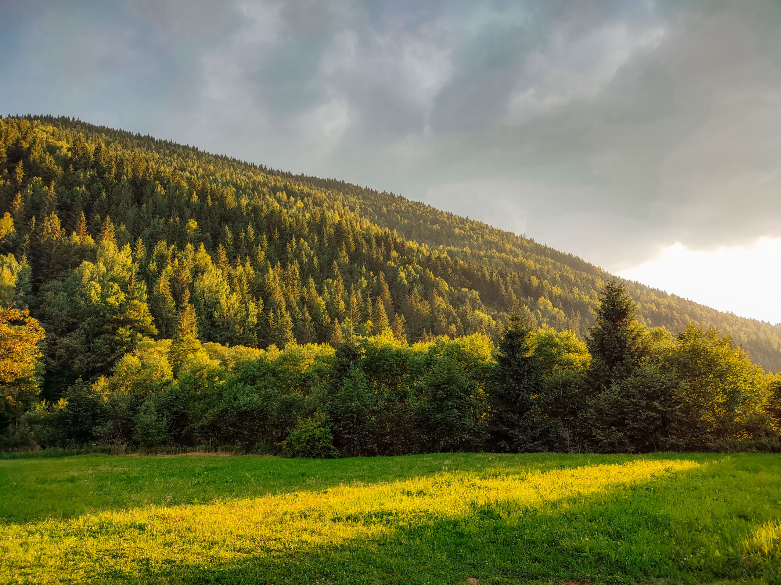 Nature for Every Body: Accessible Hiking in Colorado